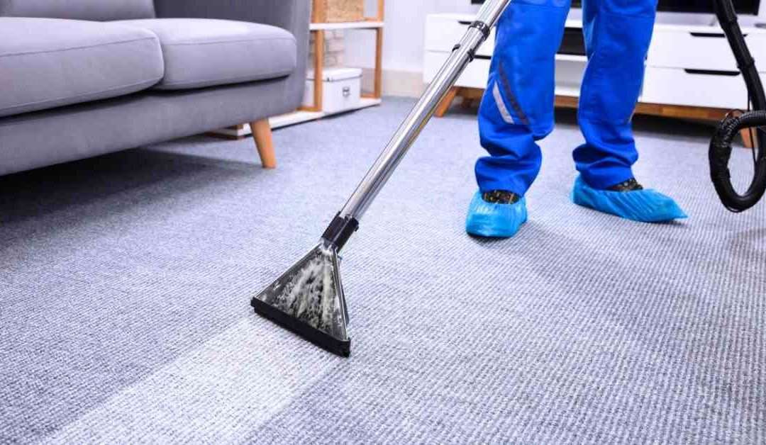 Professional Carpet Steam Cleaning: All You Need to Know