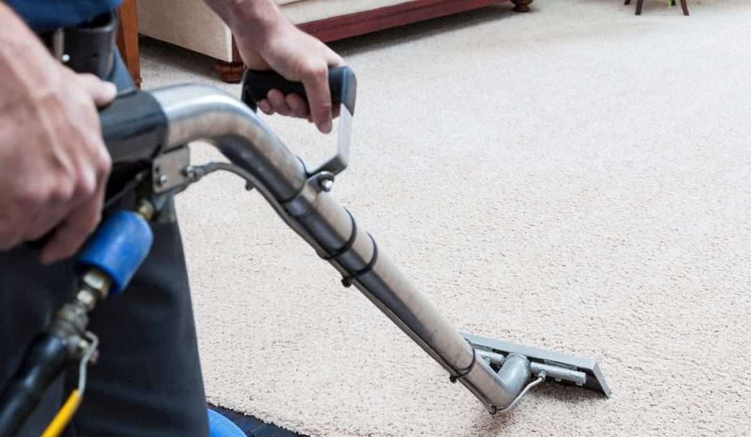 How to Choose a Professional Carpet Cleaner: Top 5 Tips
