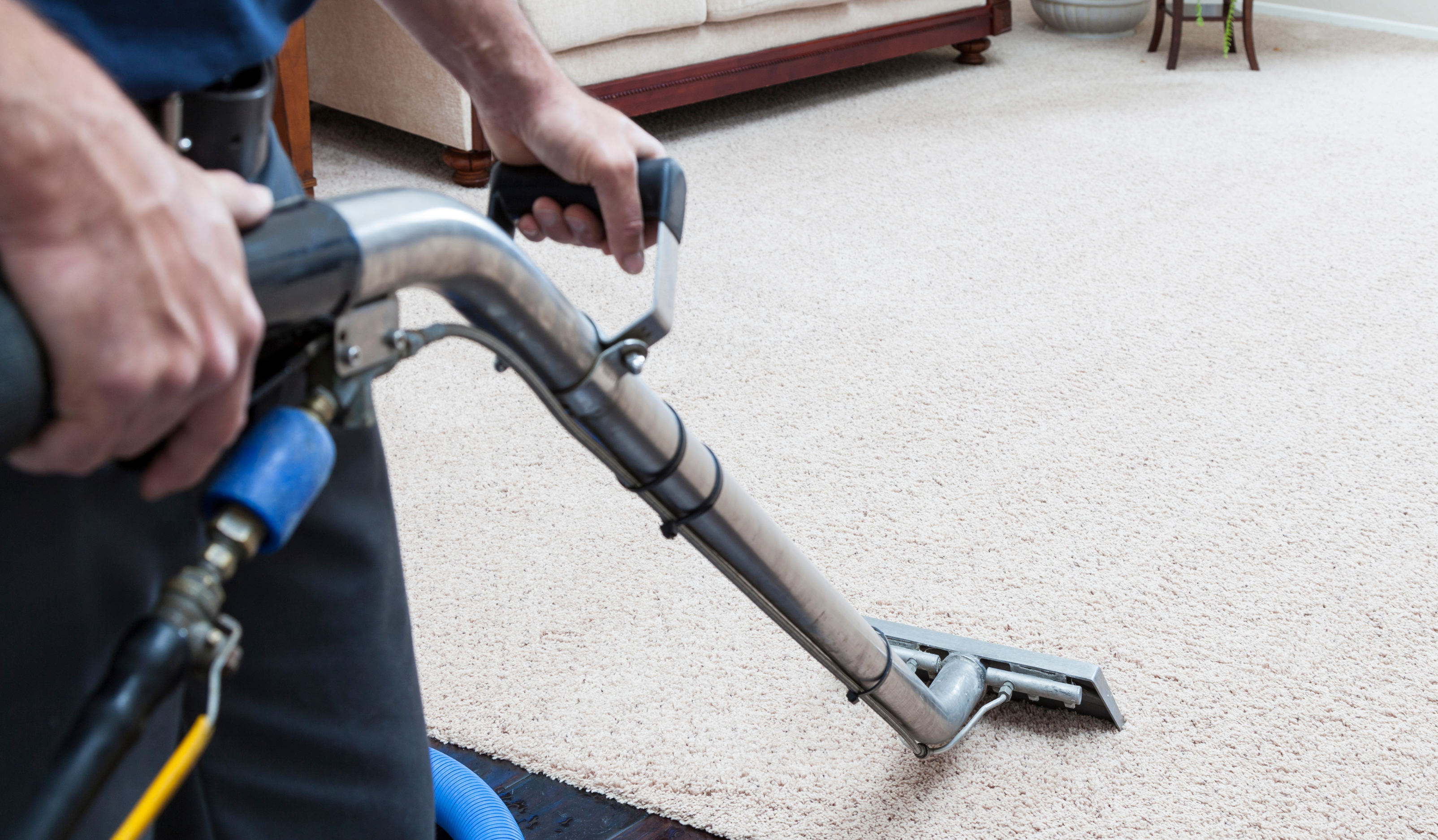 Carpet Cleaning Melbourne | Prioritizing Carpet Cleaning at Home