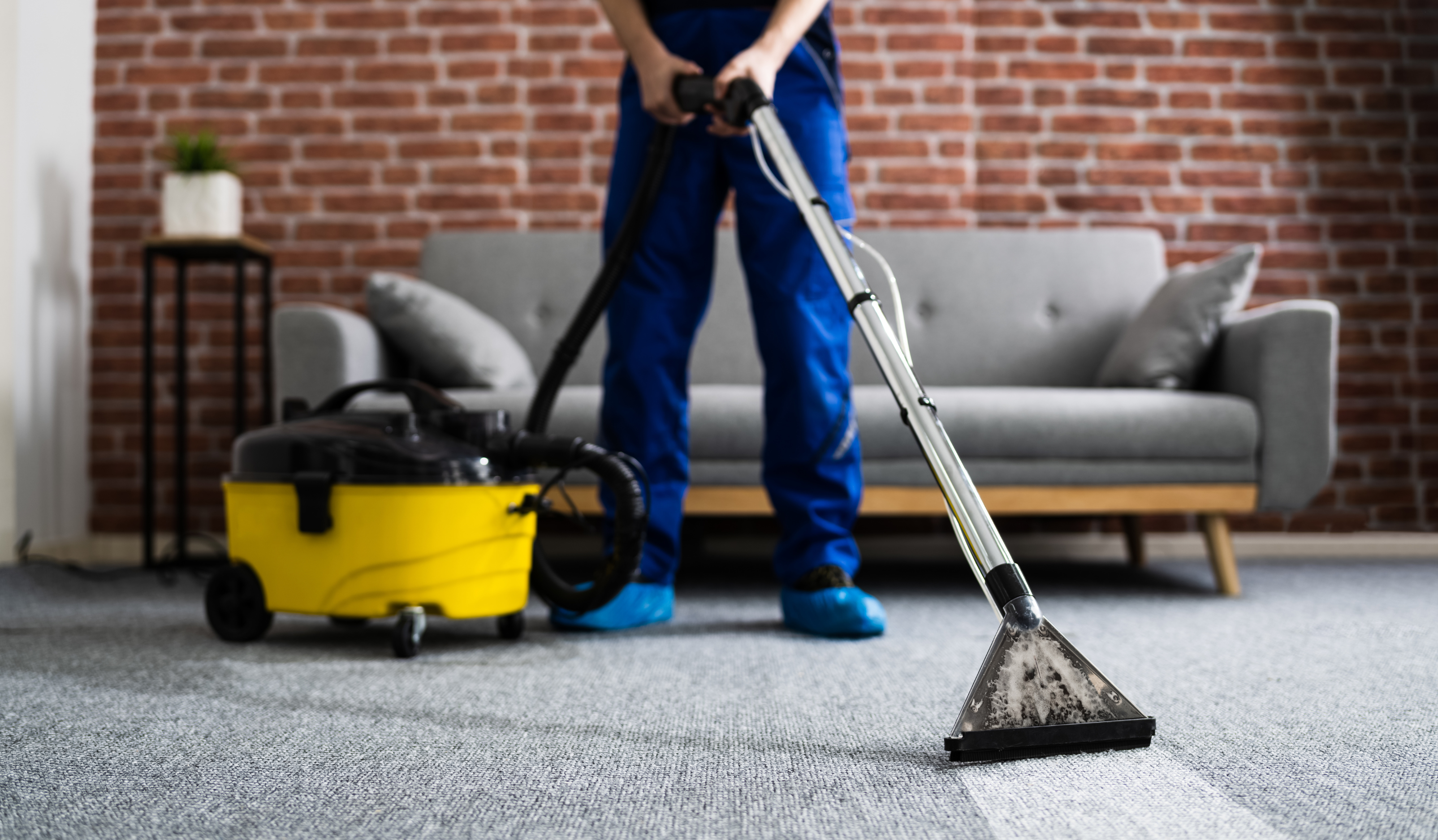 Carpet Cleaning Melbourne | A professional cleaner using advanced equipment to clean the carpet