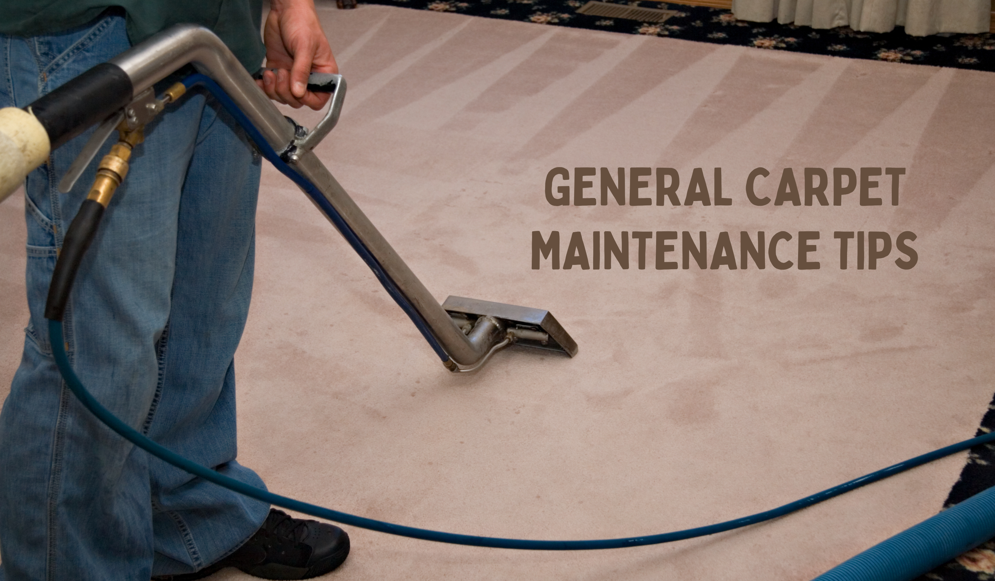 Carpet Cleaning Melbourne | General Carpet Maintenance Tips