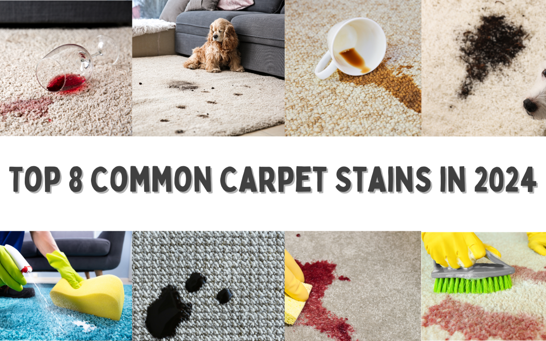 Carpet Cleaning Melbourne | Top 8 Common Carpet Stains in 2024