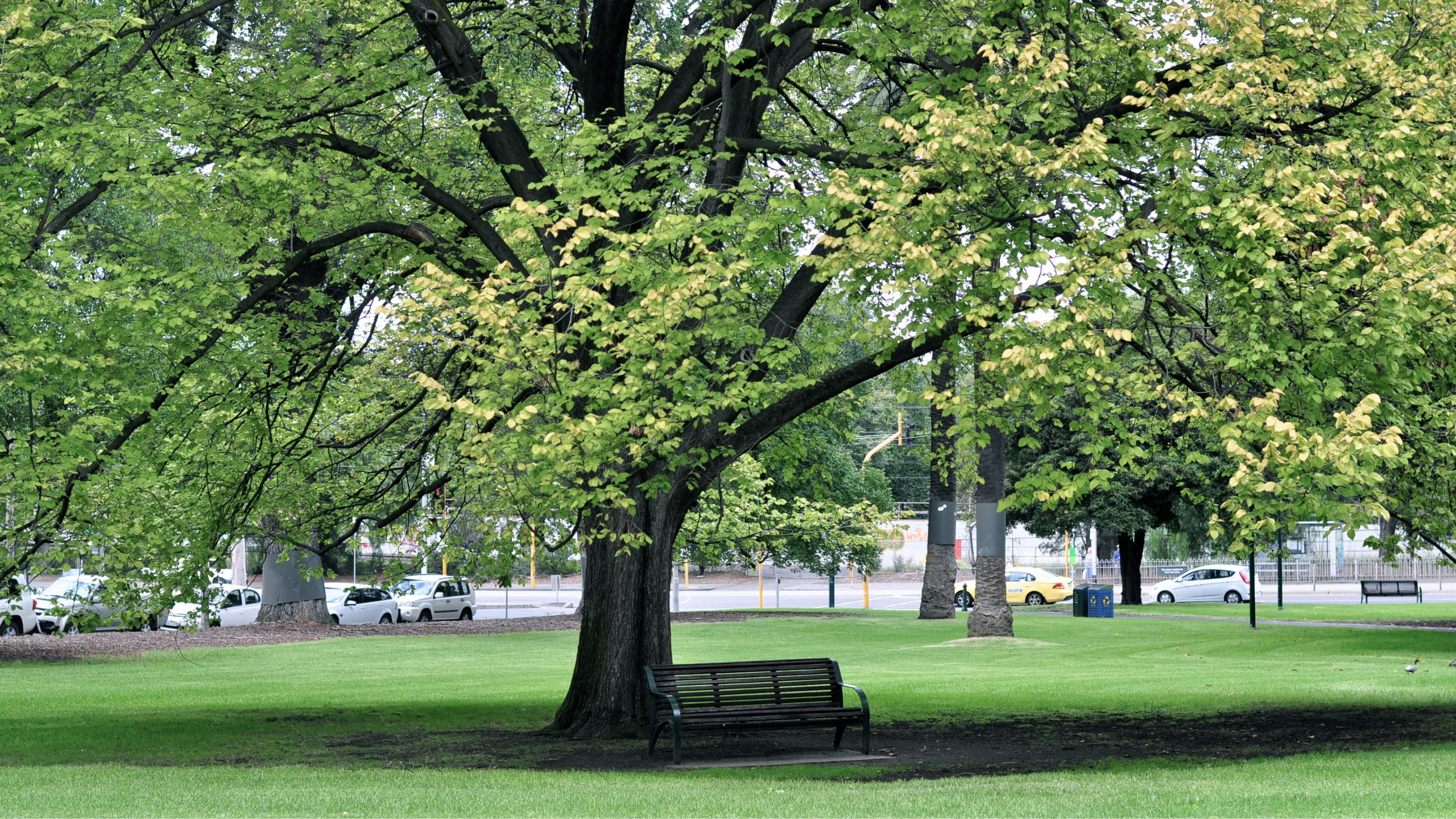Melbourne 10 Moonee Ponds