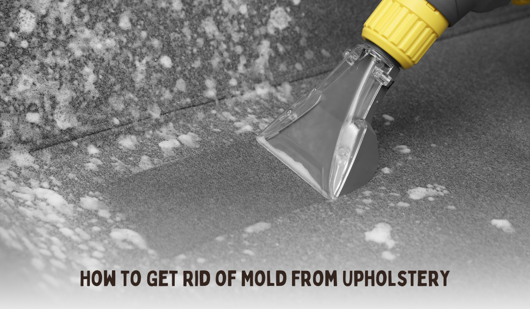 How to Get Rid of Mould From Upholstery: Best Ways to Remove It for Good