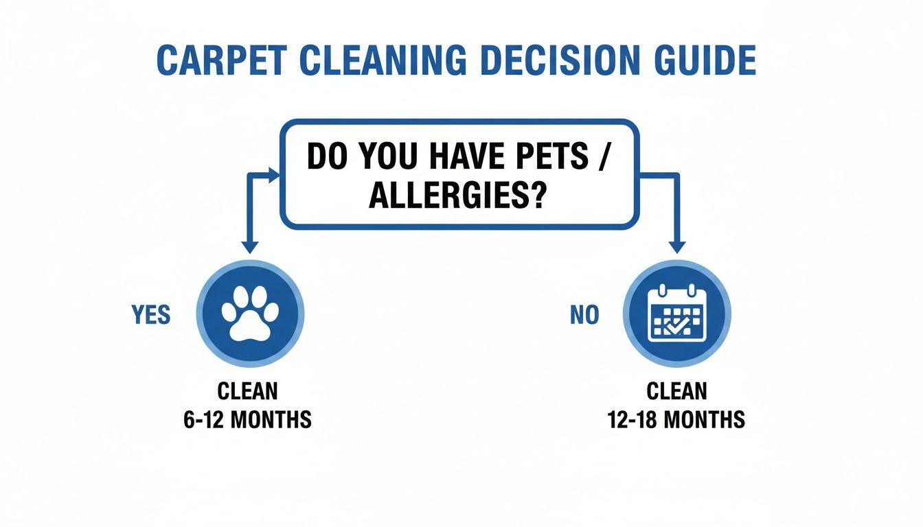 A carpet cleaning decision guide flowchart. It asks if you have pets or allergies, recommending cleaning every 6-12 months for yes, and 12-18 months for no.