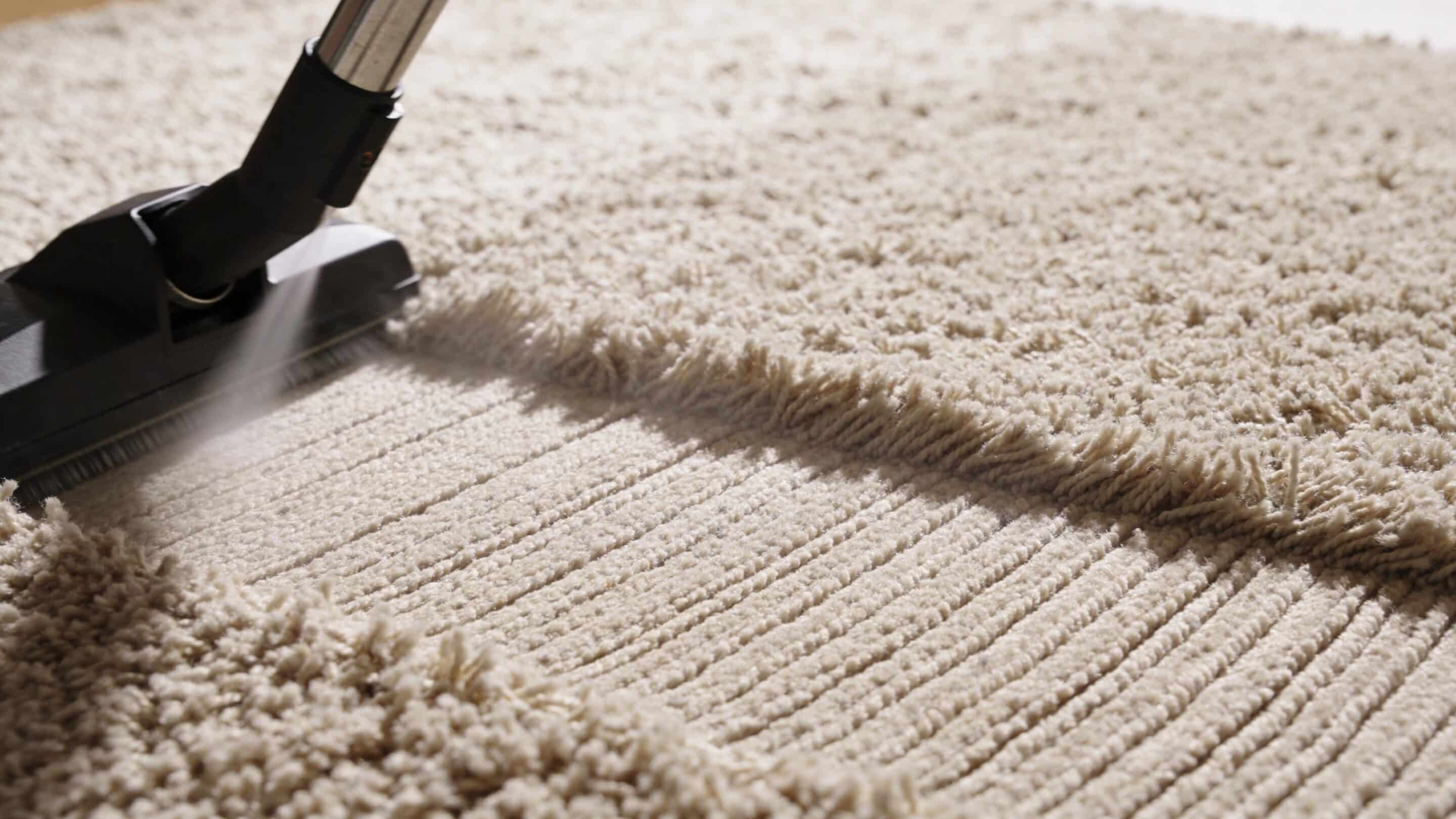 A close-up view of a vacuum cleaner nozzle cleaning a shaggy beige carpet in a residential home.